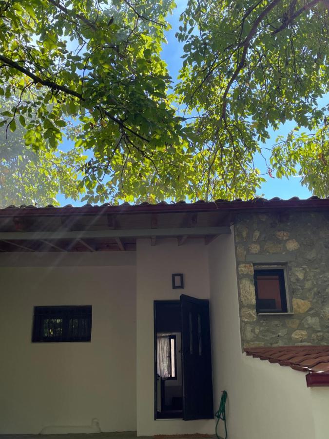 Stymfalia Cozy Village Guesthouse Karteri  Exterior foto